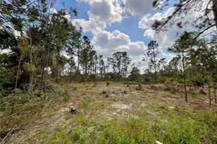 14371 Cannel Ln, Port Charlotte, FL 33953 - Photo 1