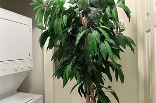 2060 Matecumbe Key Rd, Punta Gorda, FL 33955 - Photo 35