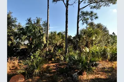 Lot 3 Hamburg Drive, North Port, FL 34288 - Photo 1