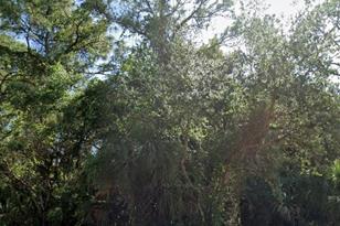 450 Camrose St, Port Charlotte, FL 33954 - Photo 1