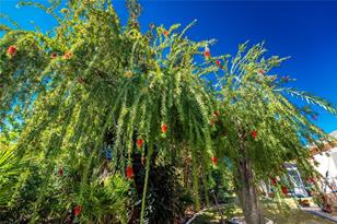 26223 Feathersound Dr - Photo 39