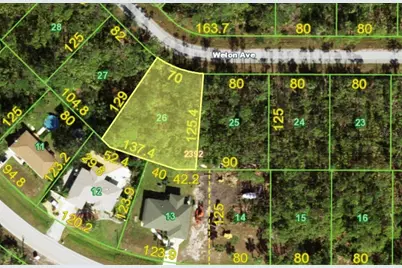 12525 Welon Avenue, Port Charlotte, FL 33953 - Photo 5