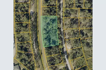 Lot 27,28,29 Constitution Drive, North Port, FL 34291 - Photo 3