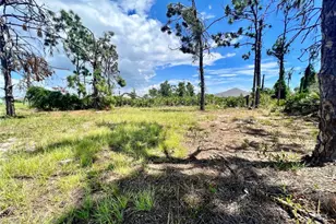 228 Fairway Rd, Rotonda West, FL 33947 - Photo 1