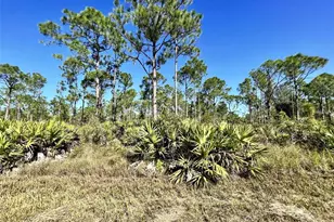 28060 Argyle Dr, Punta Gorda, FL 33955 - Photo 1