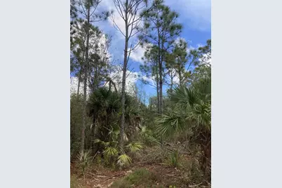 26373 & 26377 Deer Road, Punta Gorda, FL 33955 - Photo 19