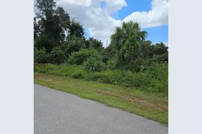 Dalewood Circle, North Port, FL 34288 - Photo 3