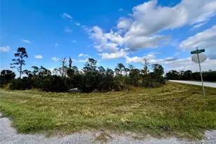 12132 Conroy Ave, Port Charlotte, FL 33981 - Photo 1