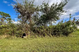 4396 Sines Ln, Port Charlotte, FL 33981 - Photo 1