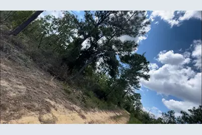 Lot 25 Birch Avenue, Interlachen, FL 32148 - Photo 3