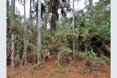 Camel Ave, North Port, FL 34287 - Photo 1