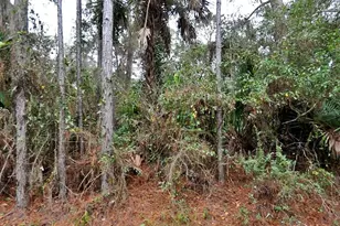 Camel Ave, North Port, FL 34287 - Photo 1