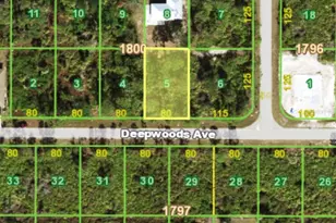 12438 Deepwoods Ave, Port Charlotte, FL 33981 - Photo 1