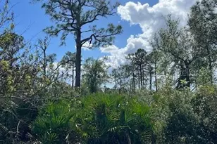 13100 Eleanor Ave, Port Charlotte, FL 33953 - Photo 1