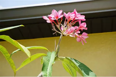 25115 Esmeralda Court, Punta Gorda, FL 33955 - Photo 49