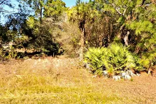 Tasco Lot #10 Dr, North Port, FL 34291 - Photo 1