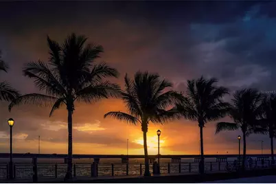 14299 Cannell Lane, Port Charlotte, FL 33953 - Photo 23