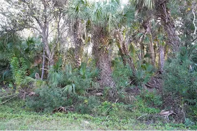 14299 Cannell Lane, Port Charlotte, FL 33953 - Photo 1