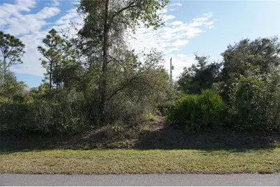 334 Omen Street, Punta Gorda, FL 33982 - Photo 11