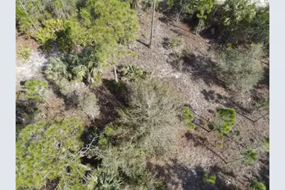 13647 Carousel Drive, Punta Gorda, FL 33955 - Photo 3