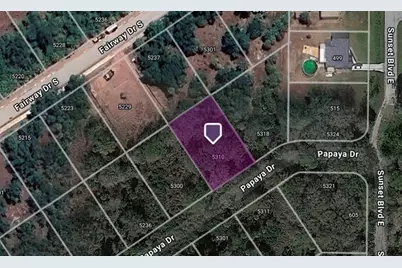 5310 Papaya Drive, Punta Gorda, FL 33982 - Photo 1
