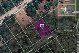 5310 Papaya Dr, Punta Gorda, FL 33982 - Photo 1