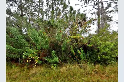 Florida Terrace, North Port, FL 34291 - Photo 3