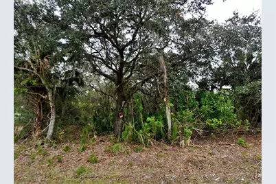 Totem Avenue, North Port, FL 34291 - Photo 3