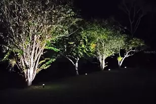 8354 SW Liverpool Rd, Arcadia, FL 34269 - Photo 37