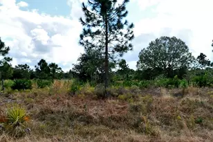 Winterville Circle, North Port, FL 34288 - Photo 1