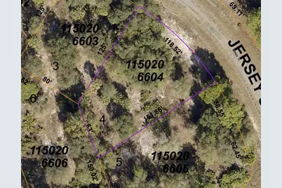 Jersey Street, North Port, FL 34288 - Photo 7