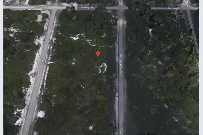 3430 Cliff Swallow Street, Lake Placid, FL 33852 - Photo 3