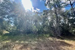 Lot 7 Abbeville Rd, North Port, FL 34288 - Photo 1