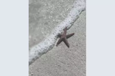 Lots 216 & 217 Rainbow Road, Venice, FL 34293 - Photo 13