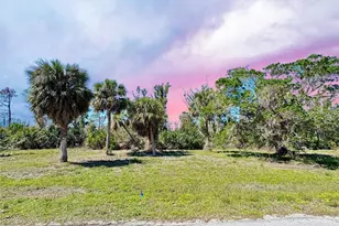 50 Cobia Dr, Placida, FL 33946 - Photo 1