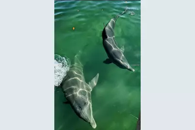 12266 Newgate Avenue, Port Charlotte, FL 33981 - Photo 19