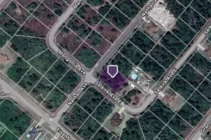 357 Nathan Ave, Lehigh Acres, FL 33974 - Photo 1