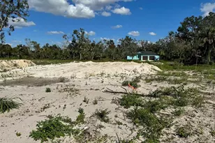 194 Cayuga St, Port Charlotte, FL 33954 - Photo 1