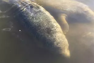 801 Islamorada Blvd, Punta Gorda, FL 33955 - Photo 55