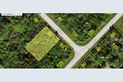 12259 Cassino Avenue, Port Charlotte, FL 33953 - Photo 5