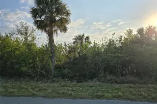 12259 Cassino Ave, Port Charlotte, FL 33953 - Photo 1