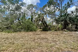 1041 Sherwin St, Port Charlotte, FL 33953 - Photo 1