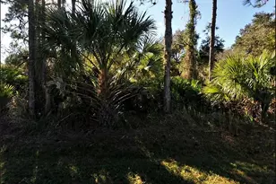 Lot 17 Ruiz St, North Port, FL 34286 - Photo 1
