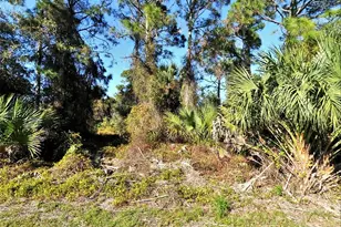 Lot 24 Renfro Ave, North Port, FL 34286 - Photo 1