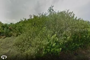 13017 Xavier Ave, Port Charlotte, FL 33981 - Photo 1