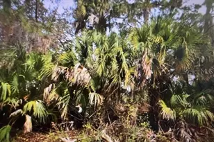 Illan Rd, North Port, FL 34291 - Photo 1