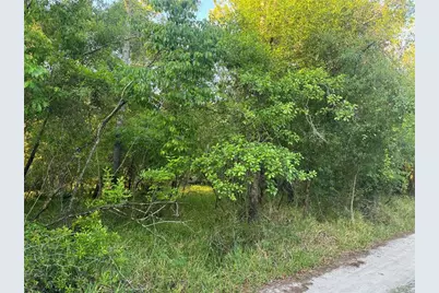 1297 NE River Raft Drive, Arcadia, FL 34266 - Photo 1