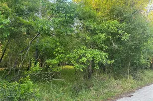 1297 NE River Raft Dr, Arcadia, FL 34266 - Photo 1