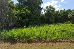 Lot 31 Elias Circle, North Port, FL 34288 - Photo 1