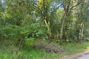 NE River Mill Dr, Arcadia, FL 34266 - Photo 1